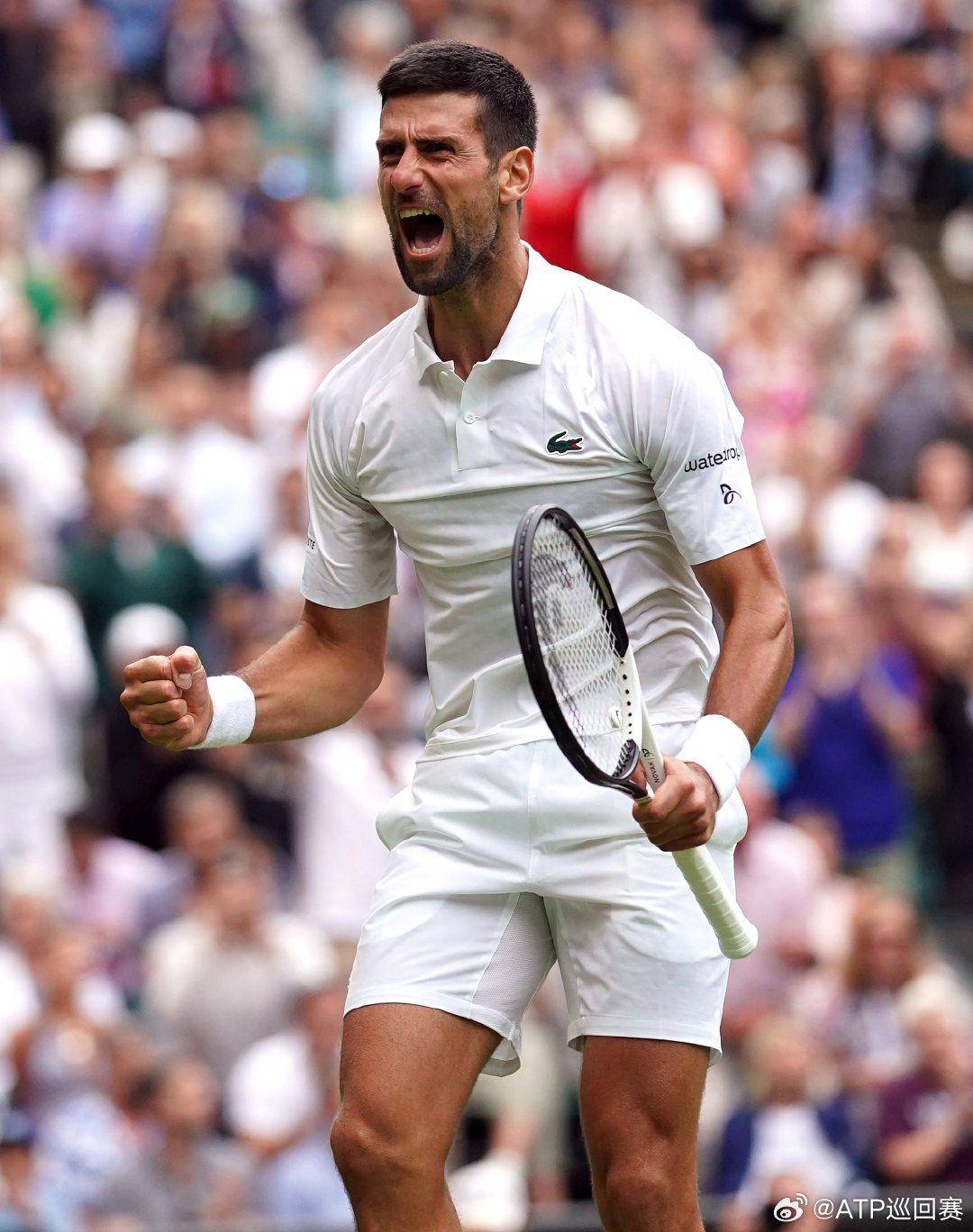 德娃这样状 德娃这样状