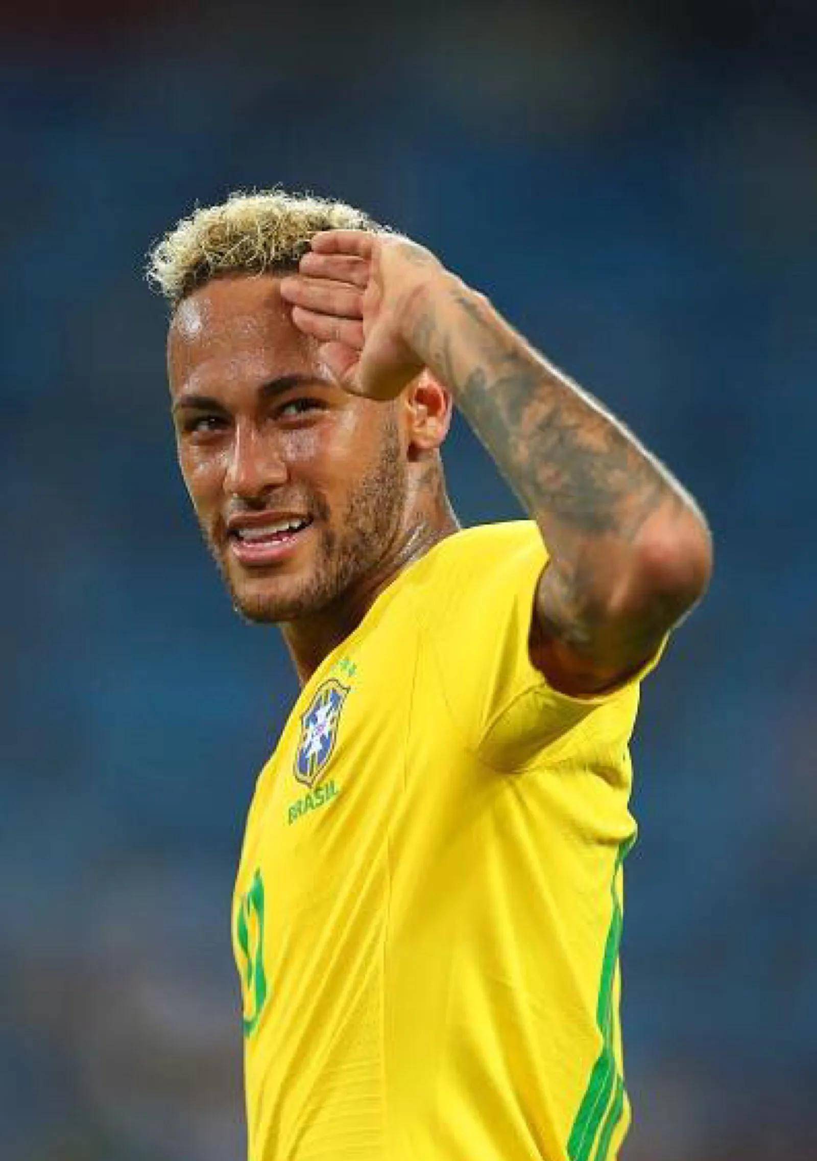 彰显了他在 彰显了他在