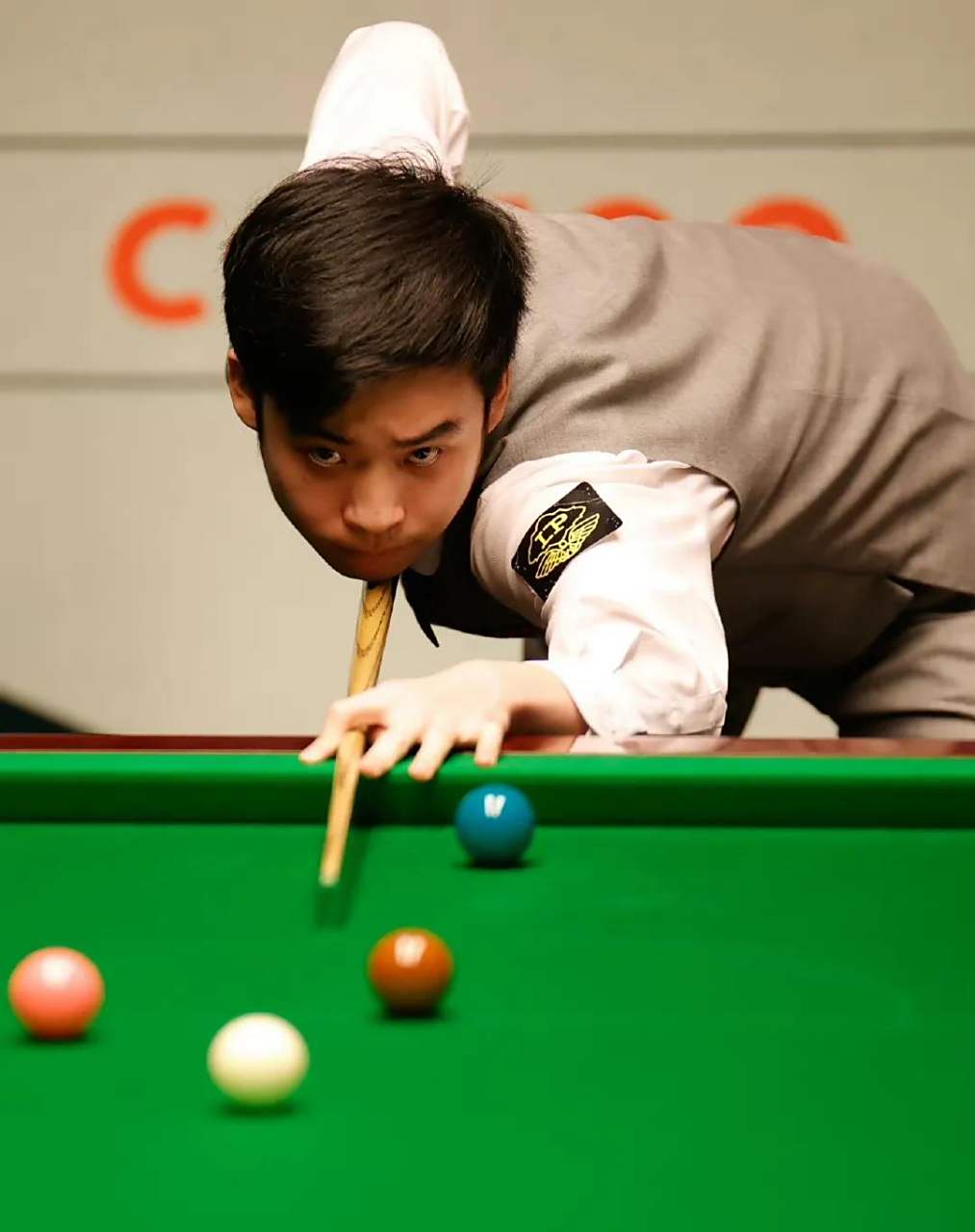 仅展示了意 仅展示了意