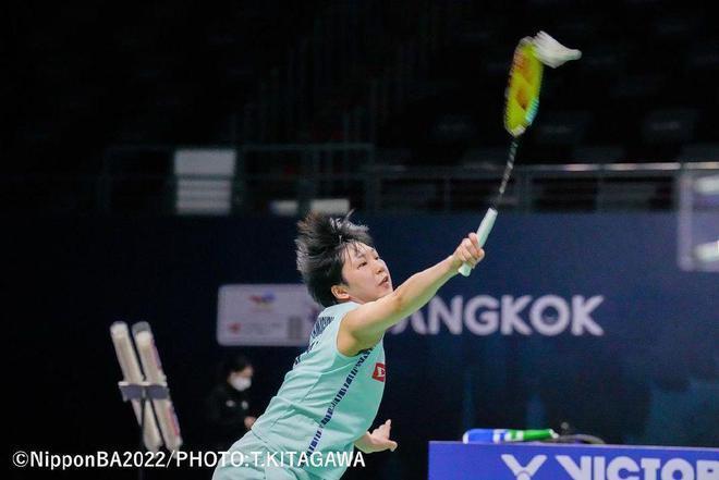 表格提供可 表格提供可